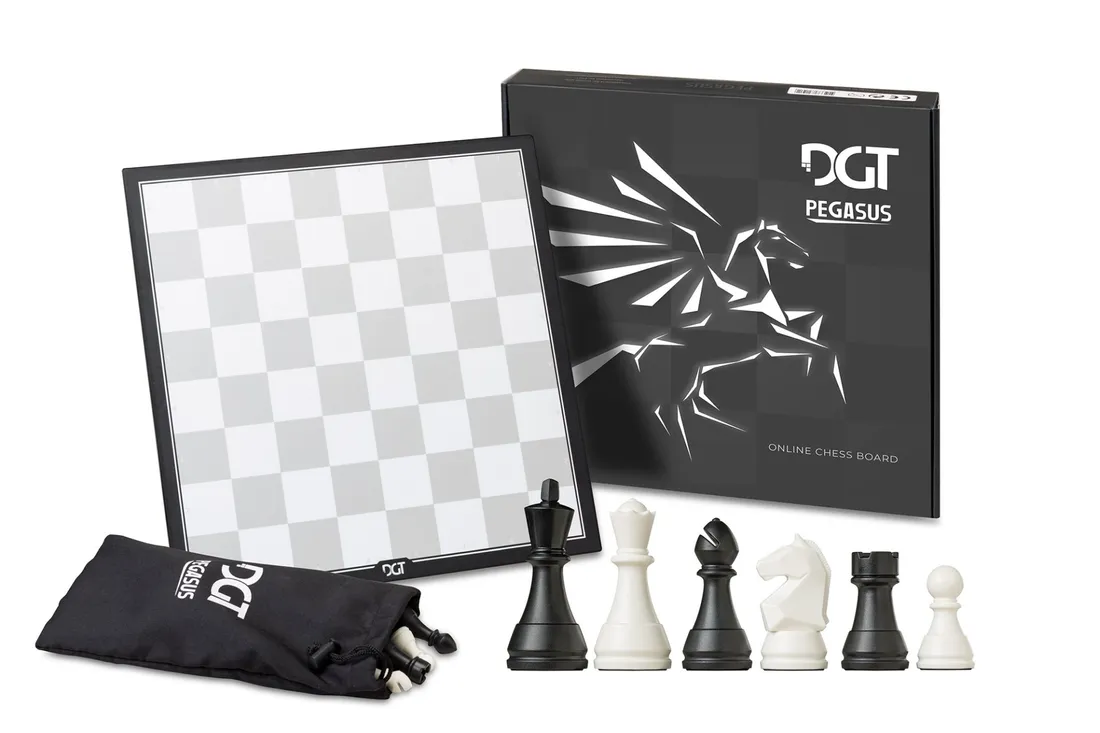 torba-na-dgt-pegasusby-best-occasionsby-best-occasions