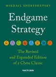 endgame-strategy-m-shereshevskyby-best-occasionsby-best-occasions