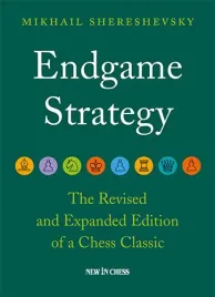 endgame-strategy-m-shereshevskyby-best-occasionsby-best-occasions
