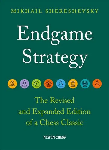 endgame-strategy-m-shereshevskyby-best-occasionsby-best-occasions