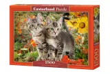 puzzle-1500-el-kitten-buddiesby-best-occasions
