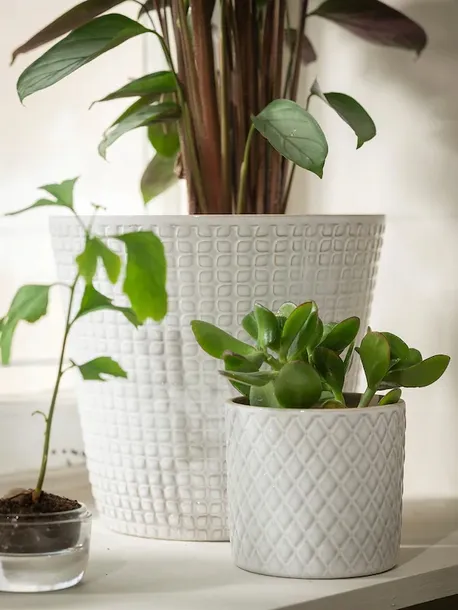oslona-doniczki-doniczka-biala-9-cm-marka-ikea