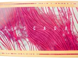 deskorolka-longboard-raven-cascada-abec9-kolor-wielokolorowy