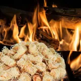 podpalka-bio-5-kg-producent-vidaxl