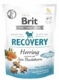 brit-functional-snack-recovery-herring-dla-psa