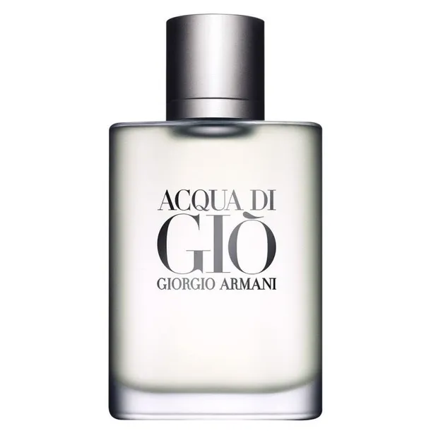 giorgio armani acqua di gio pour homme