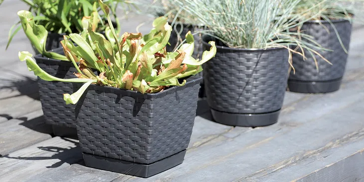 doniczka-prosperplast-ratolla-sr-19-cm-mocca-szerokosc-produktu-19-5-cm