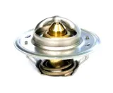 termostat-ford-83913835