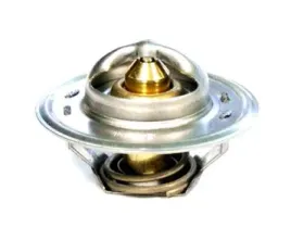 termostat-ford-83913835