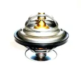 termostat-zetor-forterra-78005077