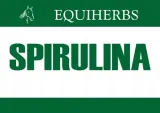 spirulina-dla-koni-equiherbs-1000g