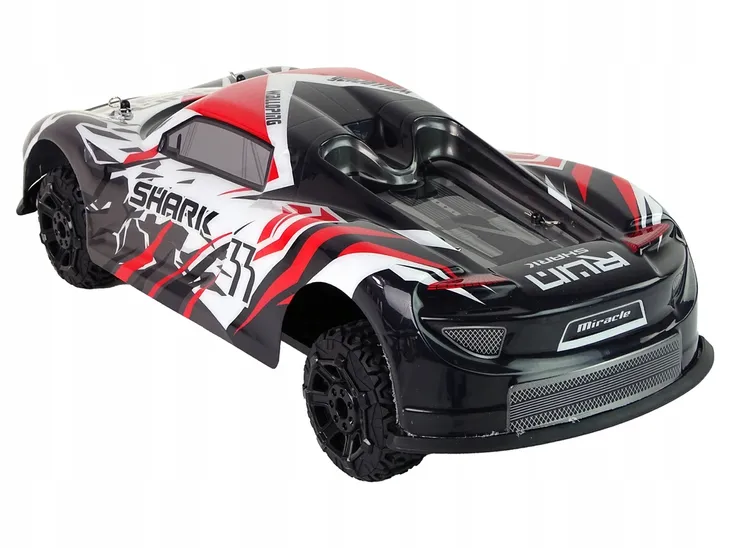 auto-sportowe-r-c-1-8-marka-leantoys