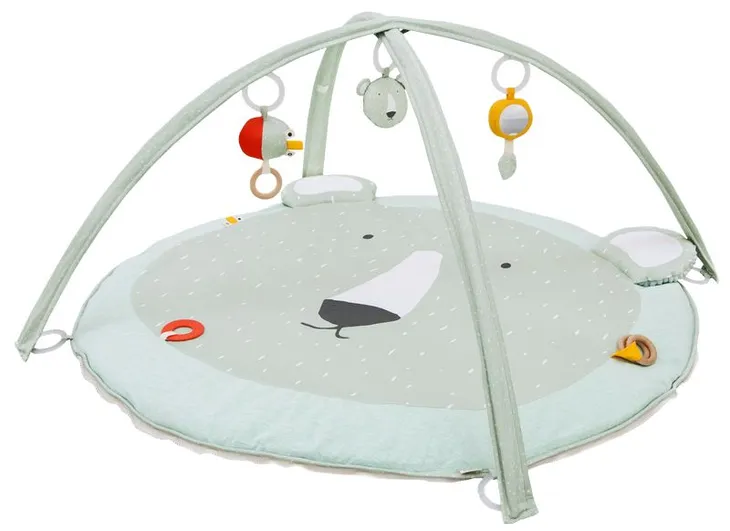 mis-polarny-mata-edukacyjna