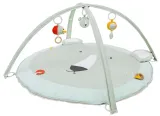 mis-polarny-mata-edukacyjna