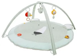 mis-polarny-mata-edukacyjna