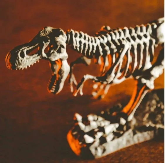 crazy-science-smoki-i-dinozaury-lisciani-material-karton-plastik