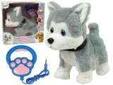husky-interaktywny-bohater-brak