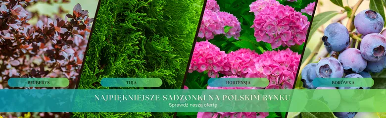 undefined_undefined