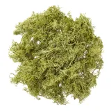 mech-jasnozielony-30g-stan-nowy