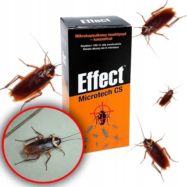 effect-microtech-cs-100ml-na-pluskwy-karaluchy-pajaki-mrowki-zastosowanie-karaluchom-mrowkom-muchom-pajakom-pluskwom