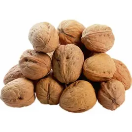 orzechy-wloskie-w-lupinie-polska-luz-1-kg