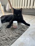 Zdjęcie produktu od kupującego