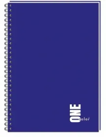 zeszyt-w-kratke-a5-interdruk-100-kartek-kolozeszyt