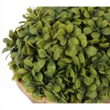 bukszpanowa-kula-iii-w-donicy-20-cm-rodzaj-kwiaty-doniczkowe