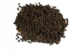 wyka-jara-kwalifikowana-1kg