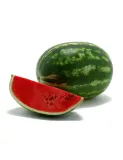 arbuz-ok-4-kg