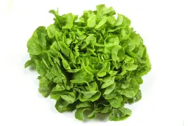 salata-lisc-debu-zielona-ok-150-g