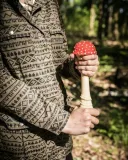 antystresowy-grzyb-muchomor-kod-producenta-5903181013843-stan-nowy