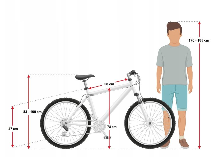 ROWER GÓRSKI MTB 27,5 FATBIKE SHIMANO TARCZE 3.0 - ERLI.pl