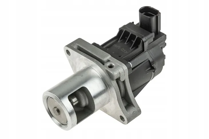 zawor-egr-typ-silnika-diesel