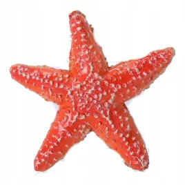 figurka-kolekcjonerska-rozgwiazda-papo
