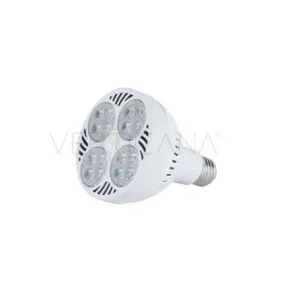 verticanar-zarowka-35w-or-biala-or-soczewka-45