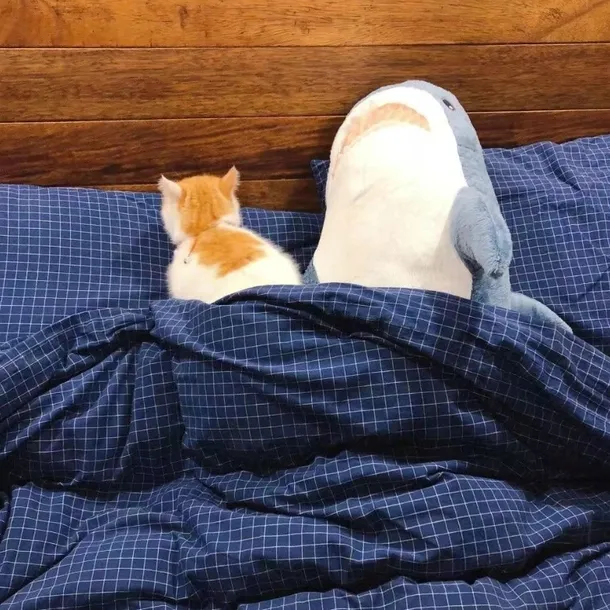 ikea-blahaj-rekin-pluszak-100-cm-marka-ikea