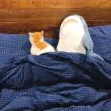 ikea-blahaj-rekin-pluszak-100-cm-marka-ikea