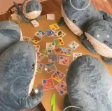 ikea-blahaj-rekin-pluszak-100-cm-kolor-dominujacy-odcienie-niebieskiego