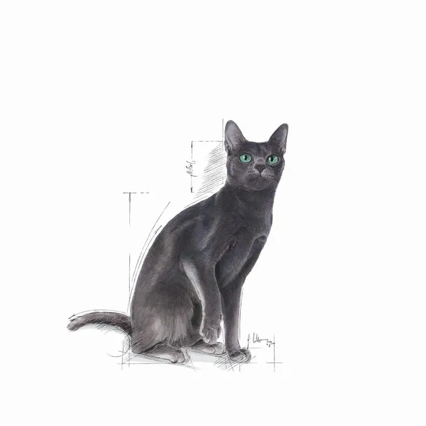 royal-canin-sterilised-37-4kg-wiek-zwierzecia-koty-starsze