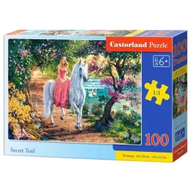 puzzle-100-secret-trail