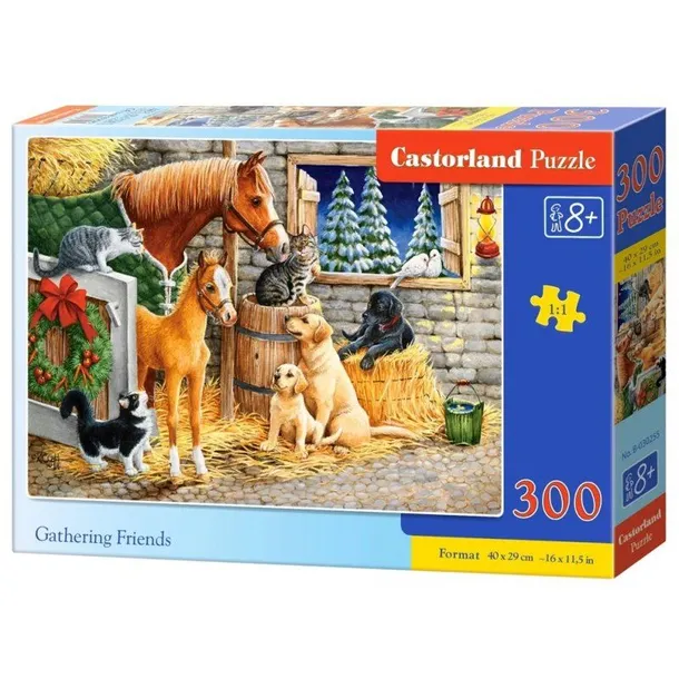 puzzle-gathering-friends-300