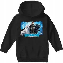 bluza-z-kapturem-dziecieca-dla-dzieci-jak-wytresowac-smoka-104-jakosc