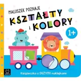 malusz-pozn-ksztalt-i-kol-1