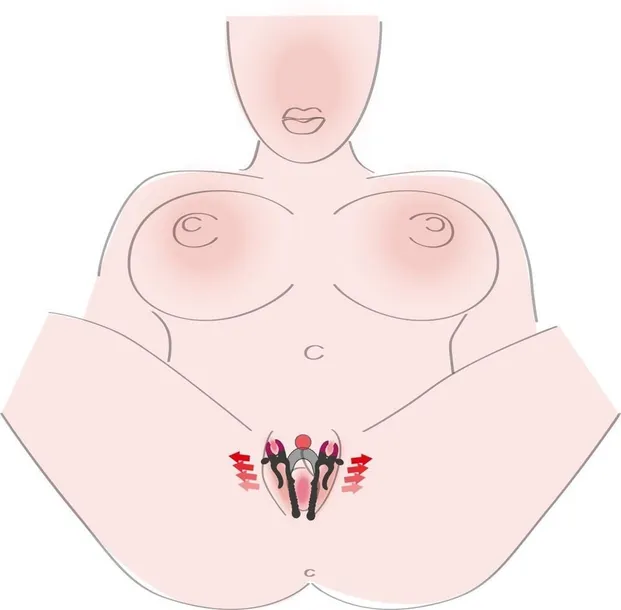 intimate-spreader-strong