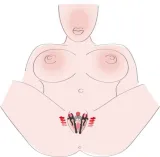 intimate-spreader-strong