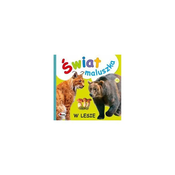 swiat-maluszka-w-lesie