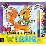 koloruje-i-poznaje-w-lesie