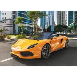 puzzle-100-arrinera-hussarya