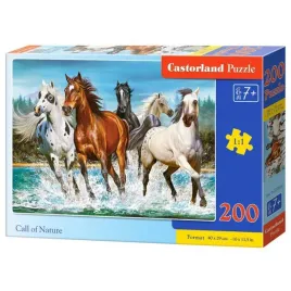 puzzle-200-call-of-nature